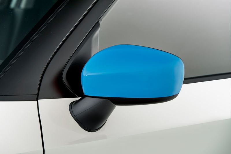 Door Mirror Covers - Blue