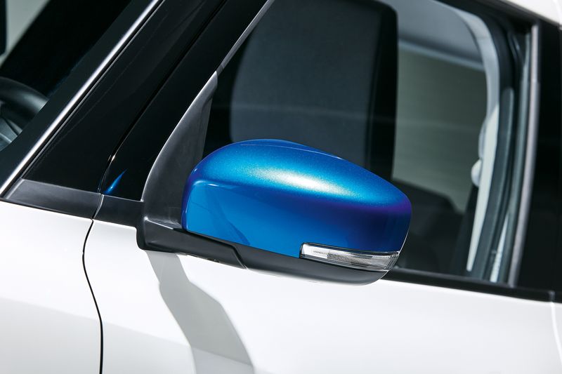 Door Mirror Covers - Blue