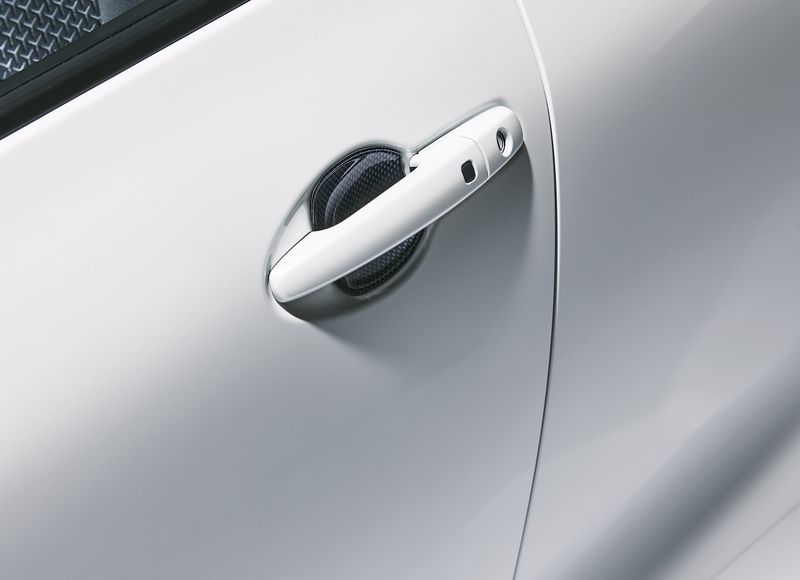 Door Handle Protectors