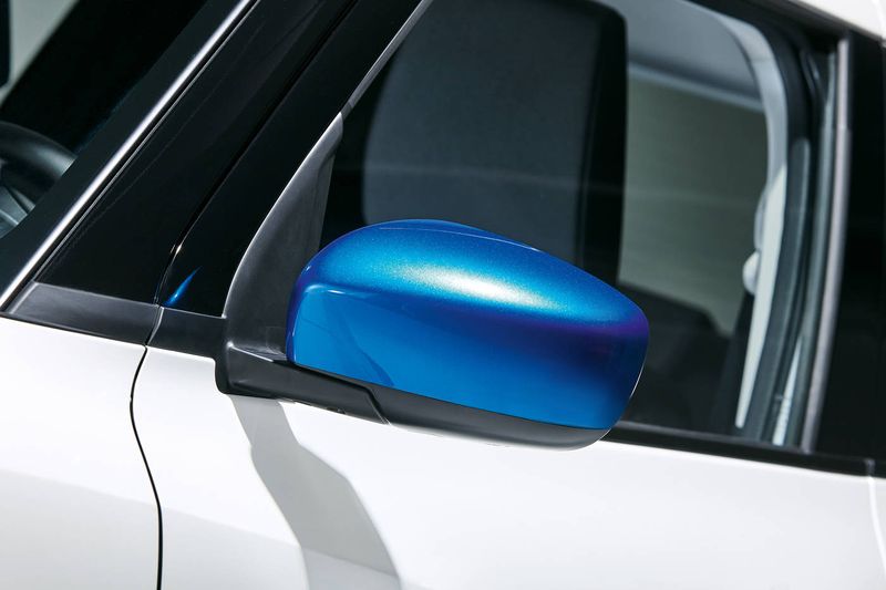 Door Mirror Covers - Blue