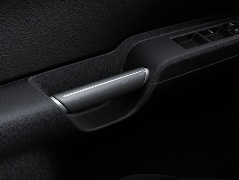 Front Door Grips - Titanium