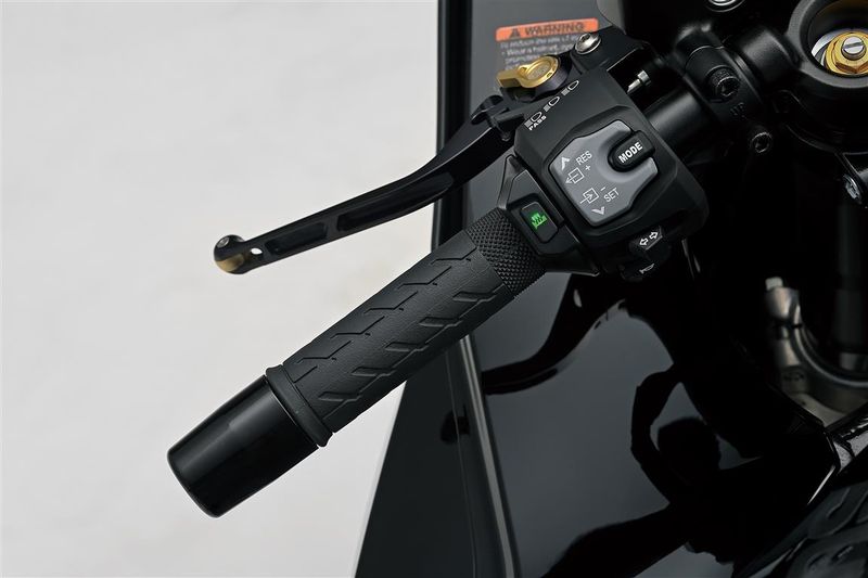 Grip Heater - Hayabusa