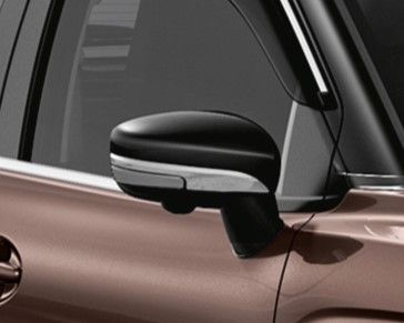 Door Mirror Garnish
